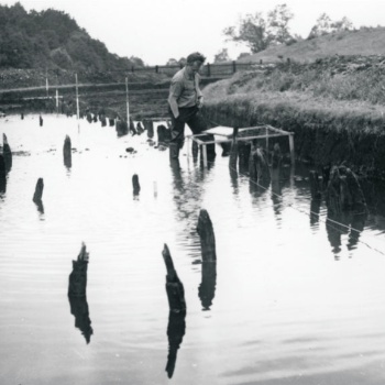 Aus einer Wasserfläche ragen Holzpfähle. Ein Mann in Gummistiefeln steht am rechten Rand der Wasserfläche. Vor ihm liegt ein Zeichenbrett auf einem Holzgestell. (© LAKD M-V/LA)