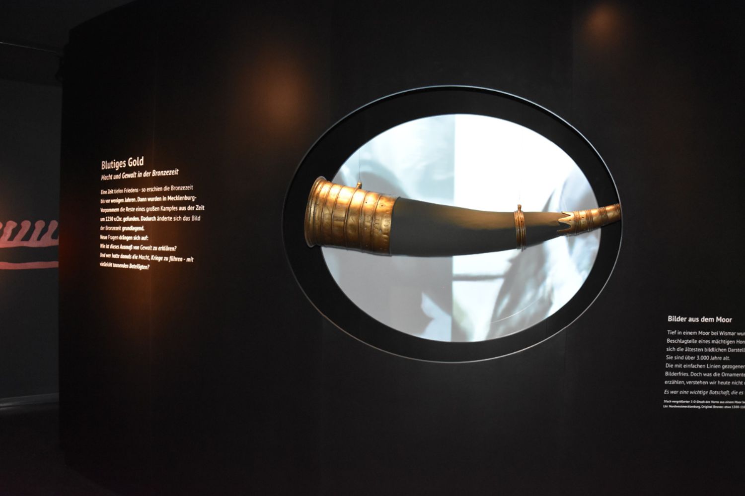 Foto aus der Ausstellung &quot;Blutiges Gold&quot;: In einer schwarzen Wand ist ein ovales Loch zu sehen. In dem Loch hängt ein Horn mit golden leuchtenden Beschlägen. Der Hintergrund hinter dem Horn ist hell. Rechts und links auf der Wand steht Text, ganz links ist eine Zeichnung an der Wand zu erkennen. (© LAKD M-V/LA)