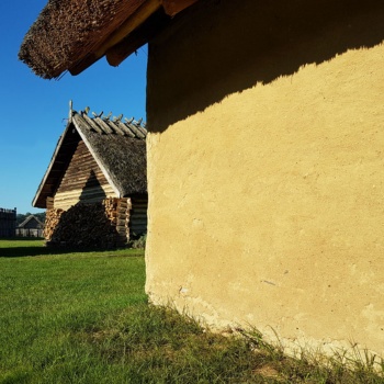 Auf einer Wiese stehen mehrere Gebäude. Das Haus rechts hat eine Wand aus Lehm, die anderen haben Holzwände. (© LAKD M-V/LA)