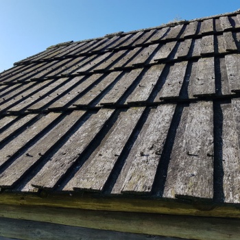 Auf dem Dach eines Blockhauses sind lange Holzschindeln befestigt. Kleine Holznägel, die die Schindeln halten, gucken an der Oberseite heraus. (© LAKD M-V/LA)