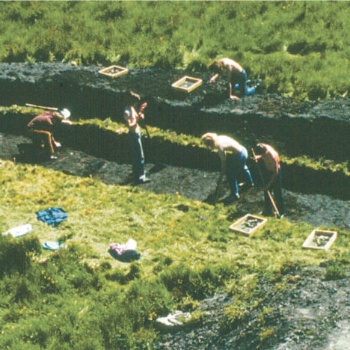 Auf einer Wiese heben mehrere Menschen eine Grabungsfläche aus. Dahinter liegt der ausgehobene Boden, auf dem ein Mensch kniet und etwas in der Hand hält. Vor und hinter der Grabungsfläche stehen einige Holzkästen. (© LAKD M-V/LA)