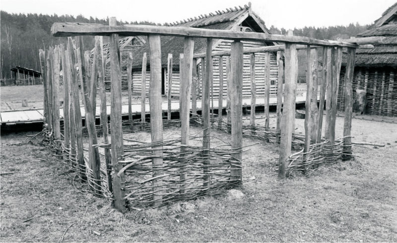 Ein Grundgerüst eines Hauses ist aufgebaut. Senkrecht stehende Pfosten sind oben durch ein waagerechtes Holz verbunden. Zwischen den Pfosten sind Weidenzweige geflochten. Vier solcher Wände bilden das Rechteck des Hauses. (© LAKD M-V/LA)