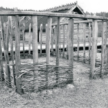 Ein Grundgerüst eines Hauses ist aufgebaut. Senkrecht stehende Pfosten sind oben durch ein waagerechtes Holz verbunden. Zwischen den Pfosten sind Weidenzweige geflochten. Vier solcher Wände bilden das Rechteck des Hauses. (© LAKD M-V/LA)