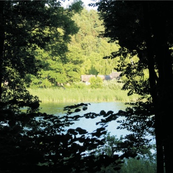 Zwischen Bäumen hindurch geht der Blick auf den See. Im Hintergrund sind kleine Häuser mit Strohdächern zu sehen. (© LAKD M-V/LA)