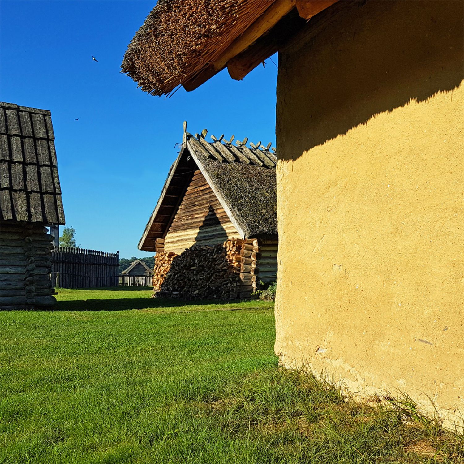 Wir haben Platz! Foto: LAKD M-V/LA Foto: LAKD M-V/LA Freigelände im Herbst Foto: LAKD M-V/LA