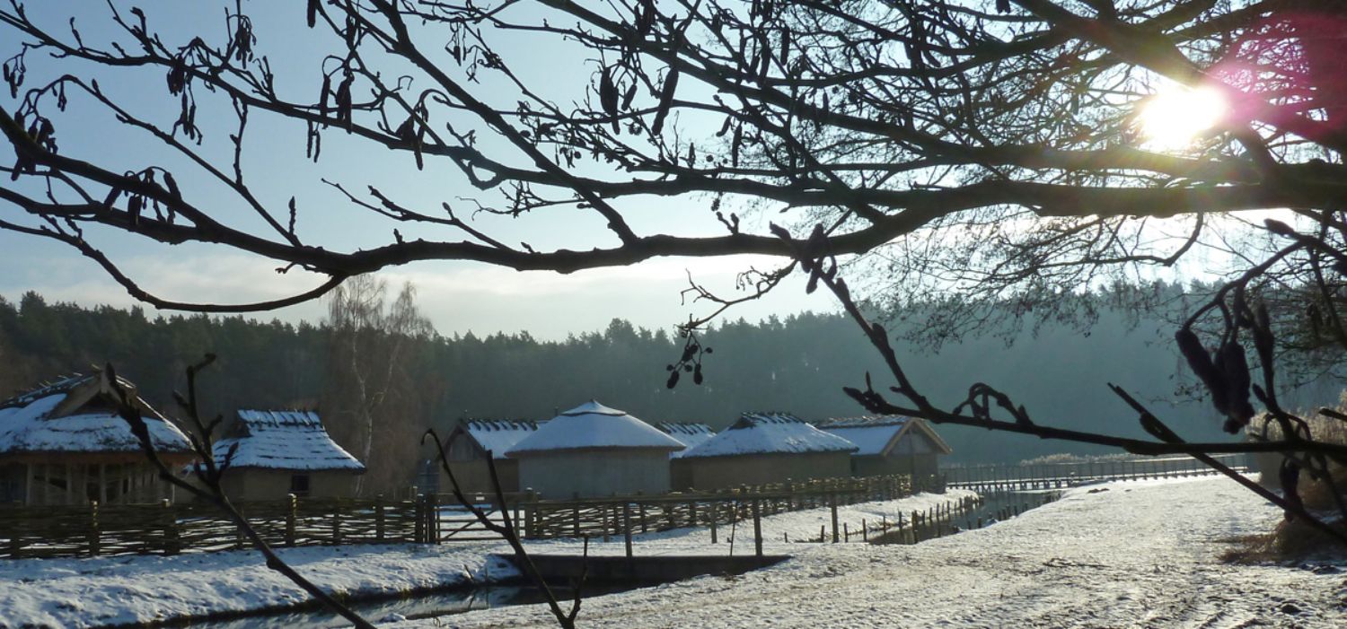 Sonniges Freigelände des Museums im Winter (Foto: LAKD M-V/LA)