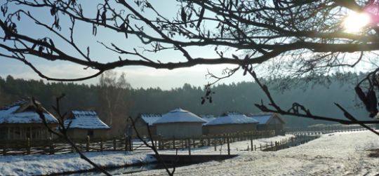 Sonniges Freigelände des Museums im Winter (Foto: LAKD M-V/LA)
