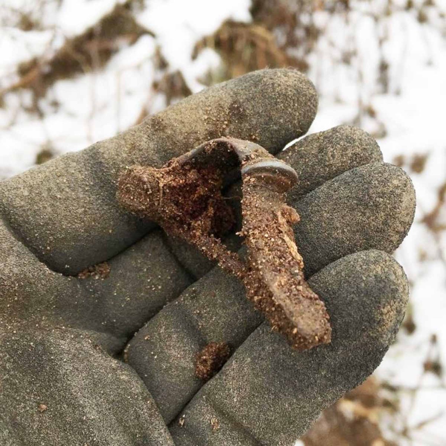 Eine neue Fibel aus Badow. Foto [Ausschnitt]: Olaf Wiegel.