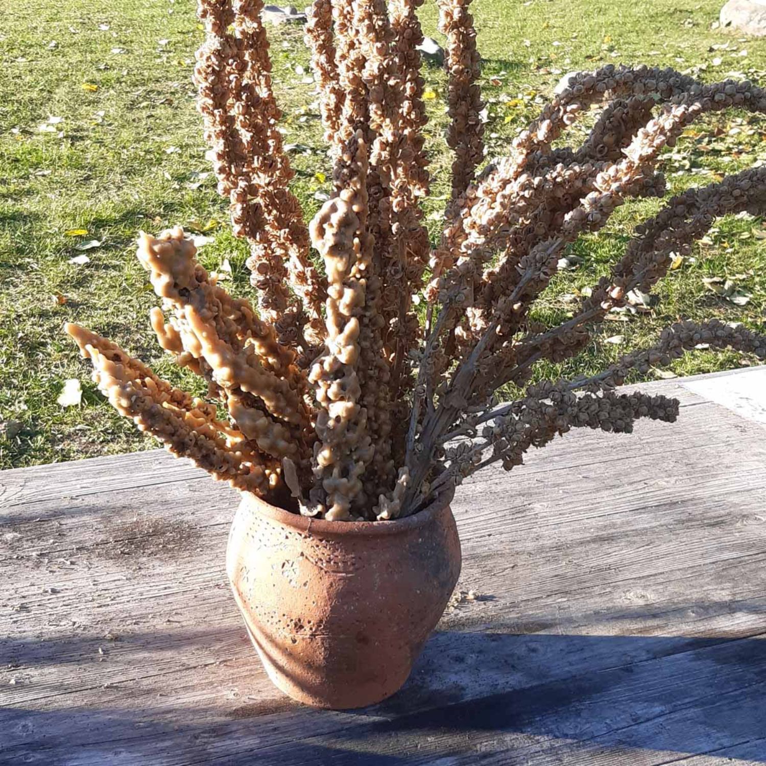 Kerzen nach mittelalterlichem Vorbild aus Pflanzen und Bienenwachs. Foto: LAKD M-V, Landesarchäologie, Heike Pilz. Kerzen nach mittelalterlichem Vorbild aus Pflanzen und Bienenwachs. Foto: LAKD M-V, Landesarchäologie, Heike Pilz.